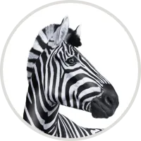 INVESTEC logo
